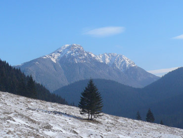 gora-zaufania-strona-glowna