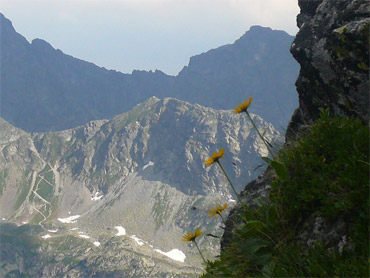 moje-siostry-b-strona-glowna