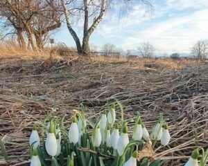 Uśpiony świat spoczywa jeszcze