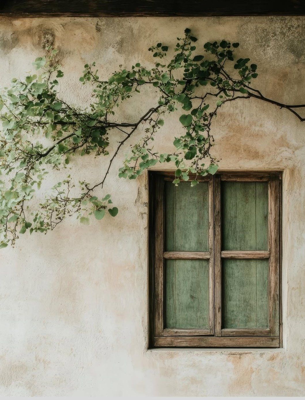 Uśpiony świat spoczywa jeszcze